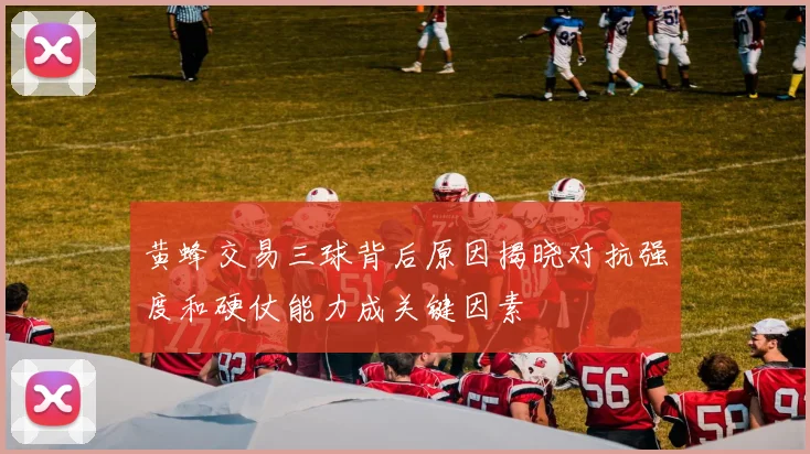 黄蜂交易三球背后原因揭晓对抗强度和硬仗能力成关键因素