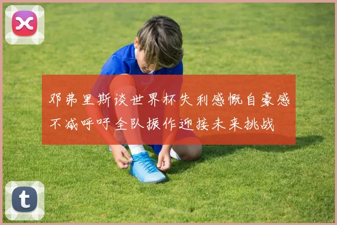 邓弗里斯谈世界杯失利感慨自豪感不减呼吁全队振作迎接未来挑战
