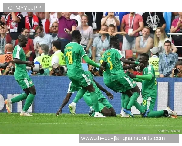 南非主帅批评非洲杯气氛冷淡新球场美观却组织混乱